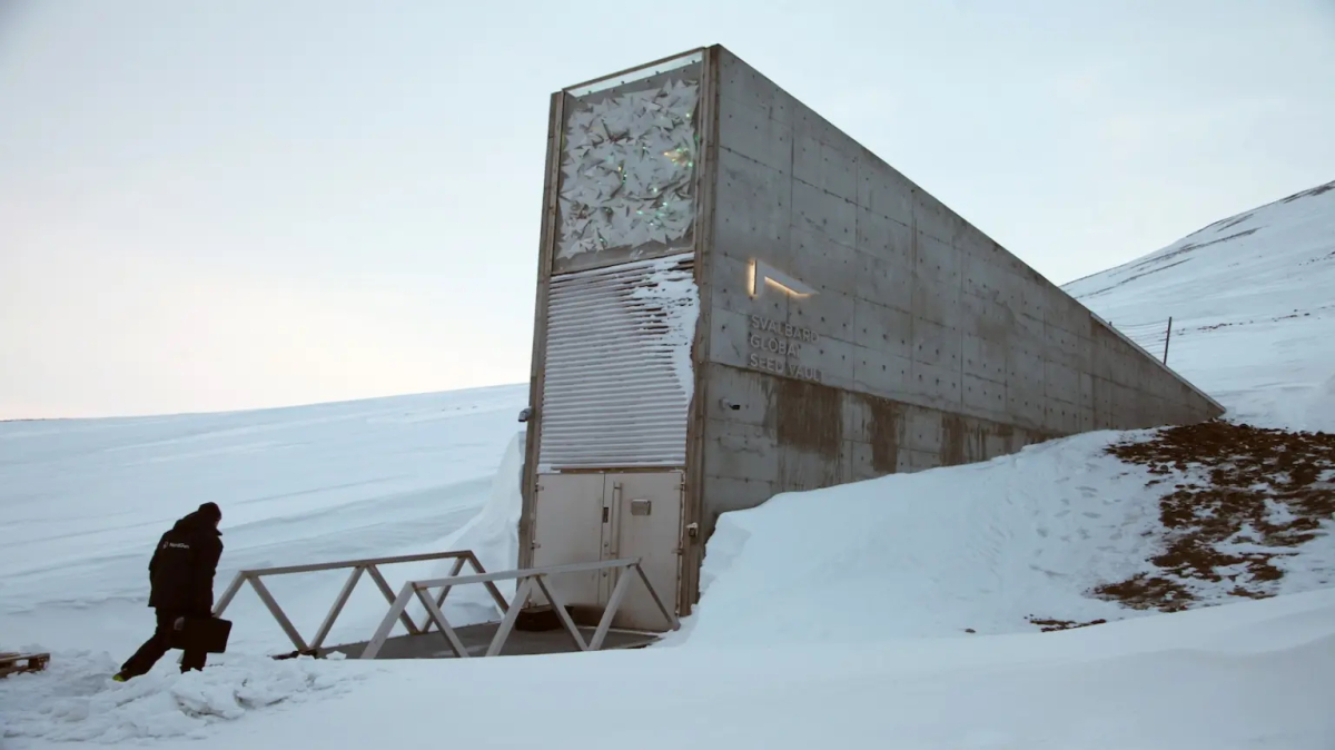 Svalbard Global Seed Vault,