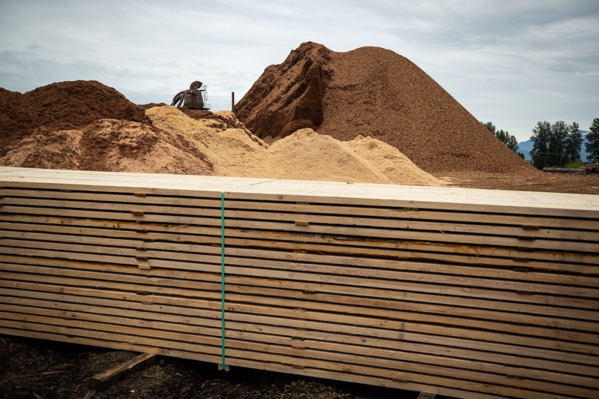 Stack of lumber