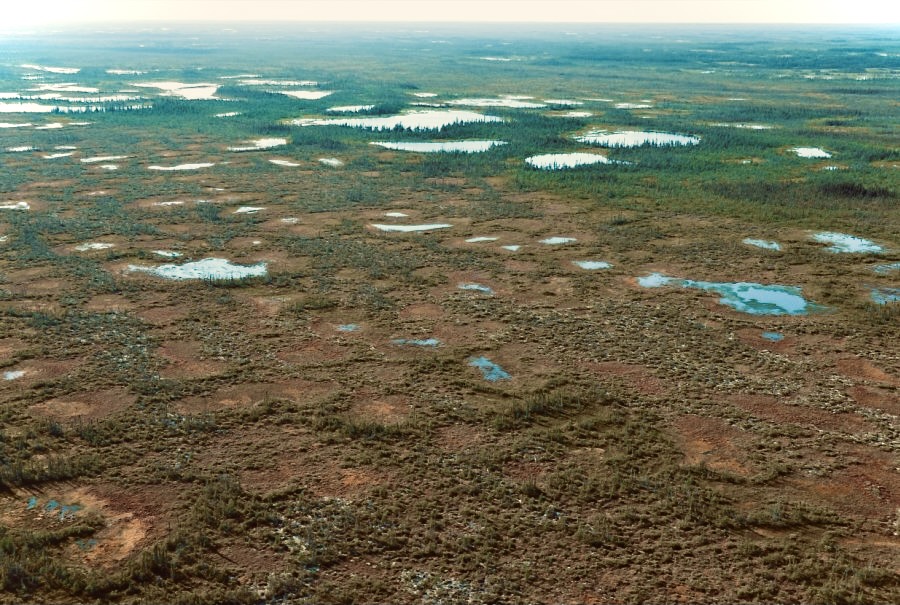 Yehewin Aski': The Breathing Lands protecting Canada from climate