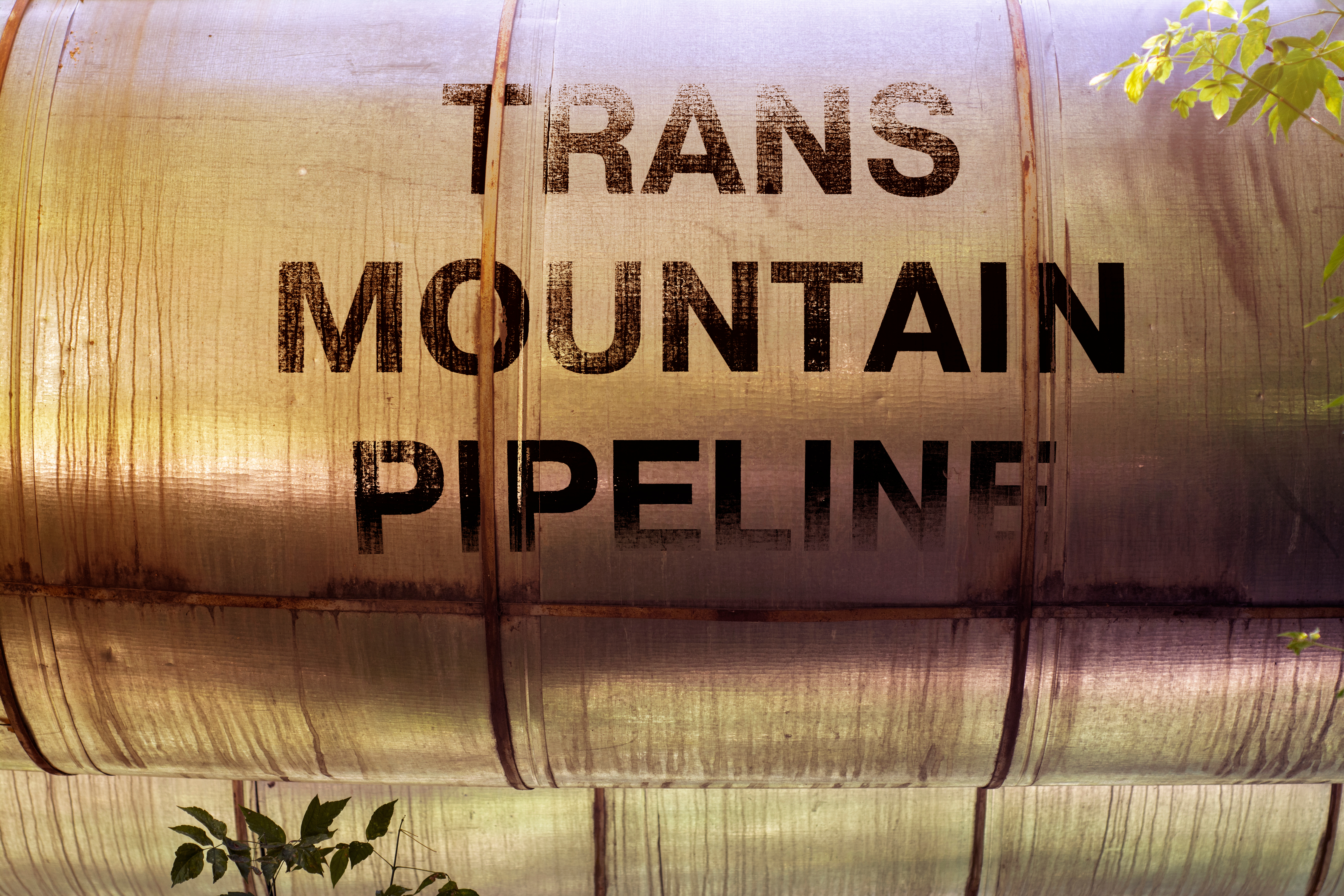 Forget TMX, we need a pipeline to a better world