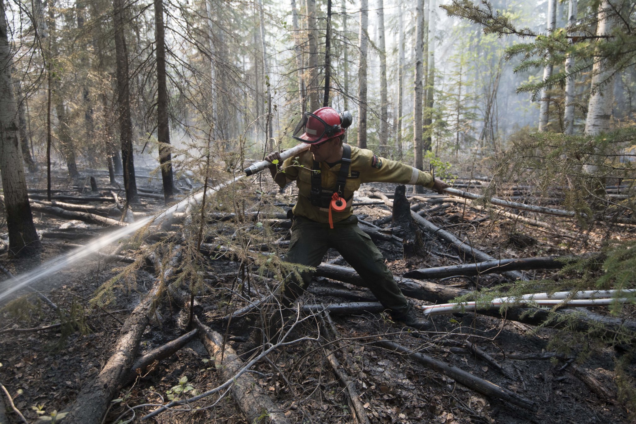 Alberta’s cuts to firefighting are a form of climate denial | Canada's ...