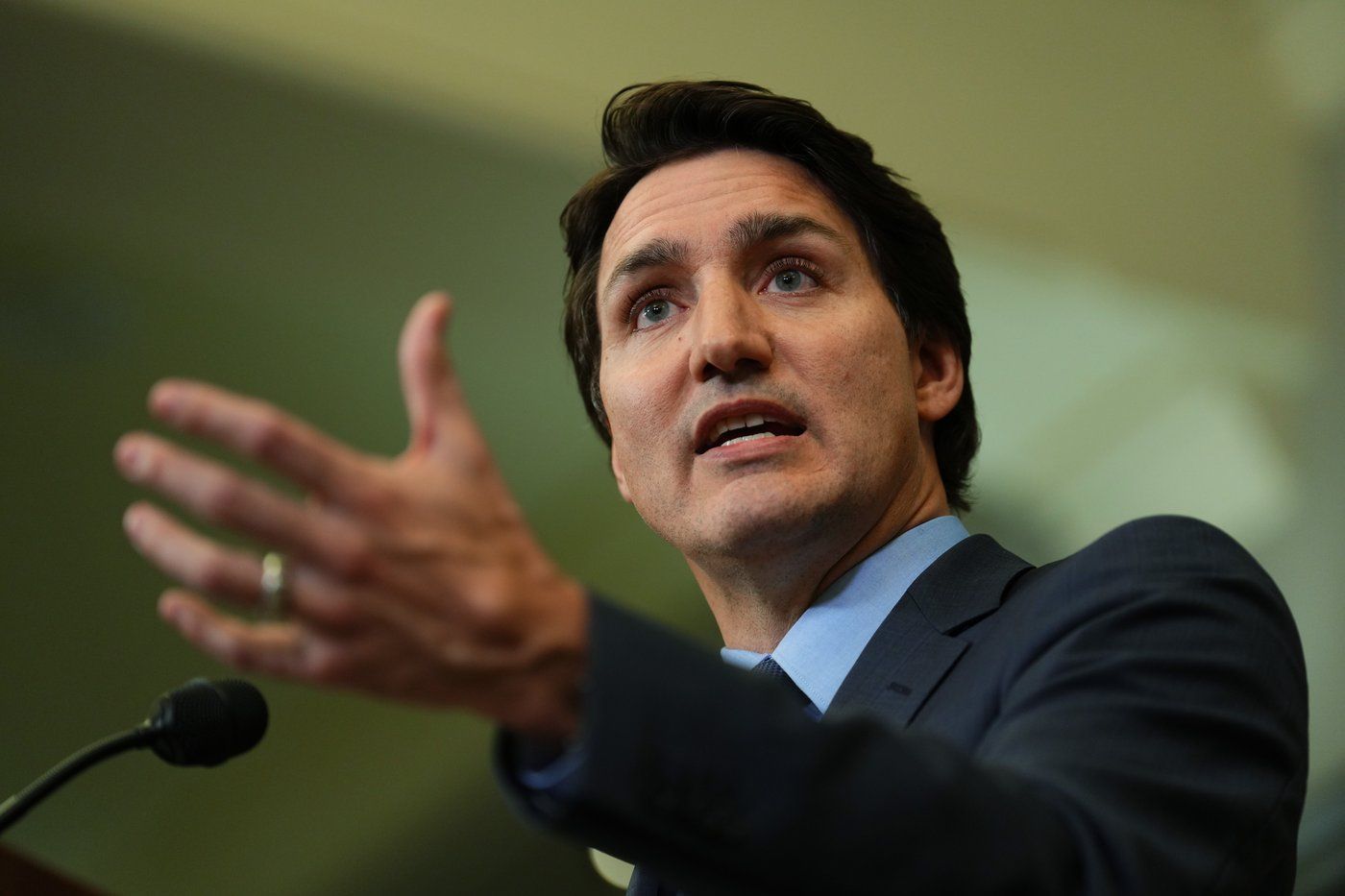 Opposition Pressures Liberals To Call A Public Inquiry Into Interference Canadas National 6341