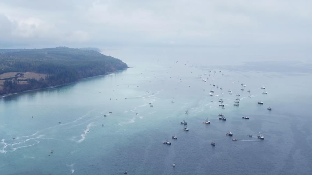 Vancouver Island Residents Fear Ship Dismantling Operation Is Polluting ...