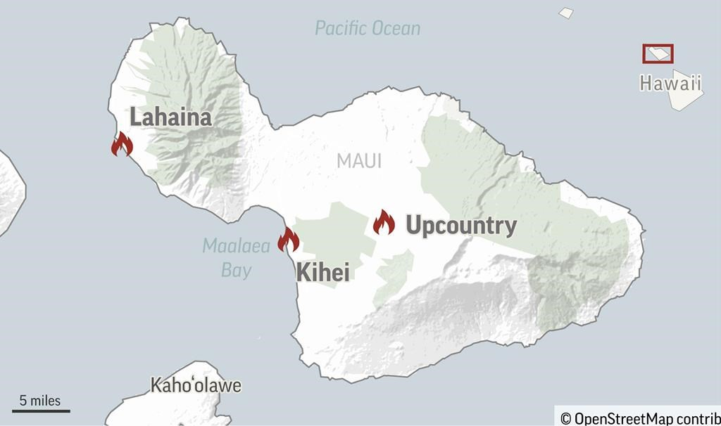 Maui Rippers Referral Program
