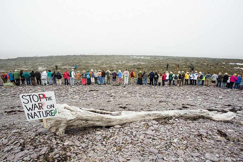 Premiers' Leaked Plan To Fast-track Oil Pipelines Enrages ...