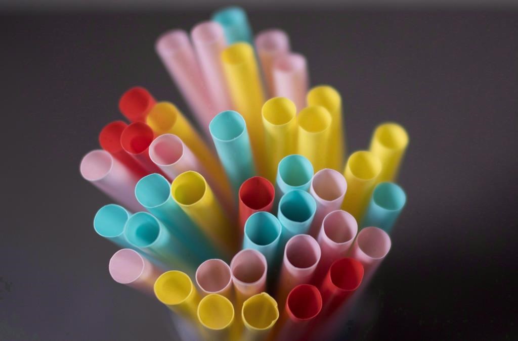 Single-use plastics ban: Montreal restaurants prepare