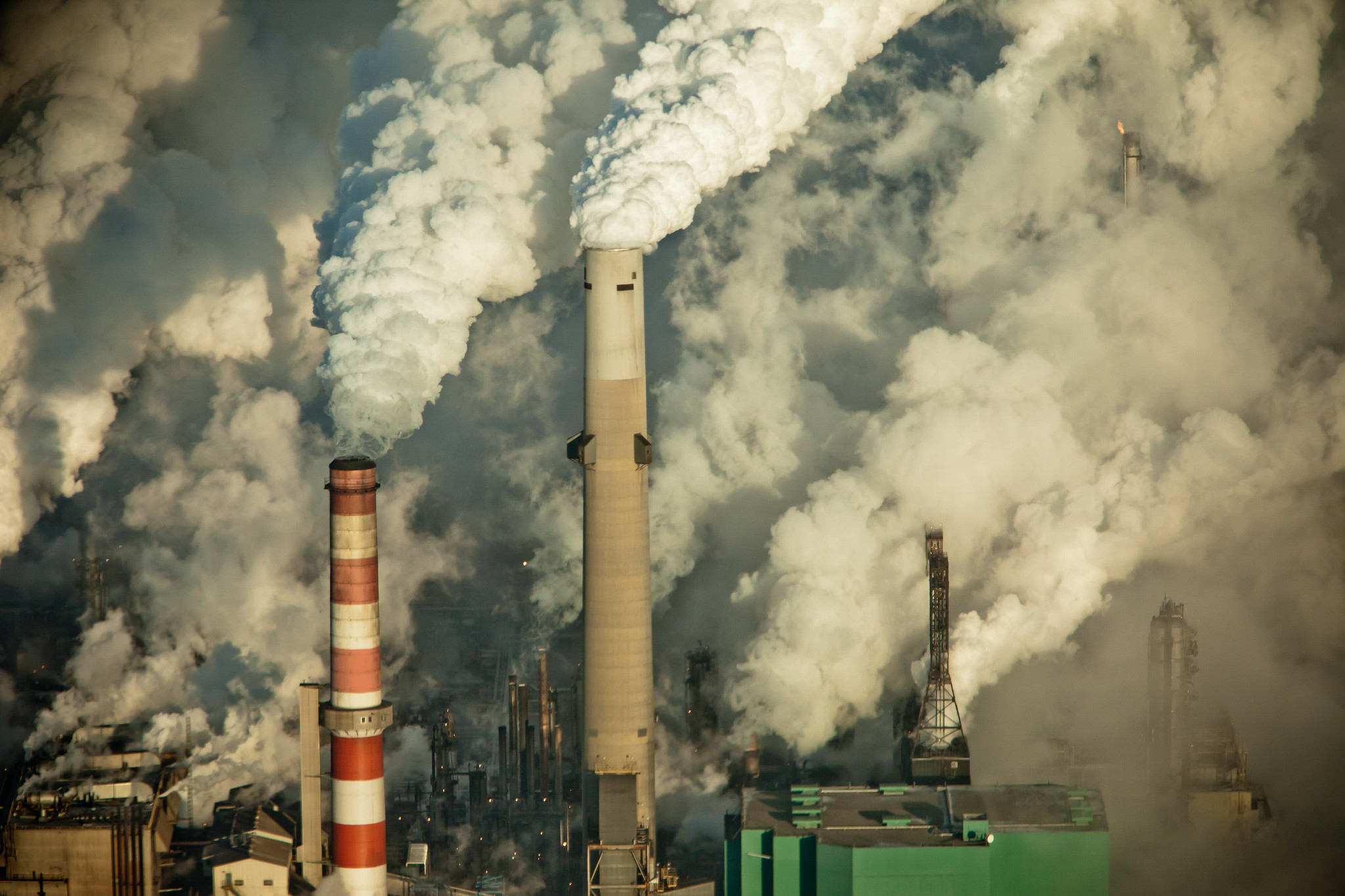 Canada S Carbon Hypocrisy Canada S National Observer News Analysis   6860868769 764c80f83a K 