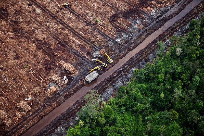 The truth about deforestation in Canada - The Resolute Blog