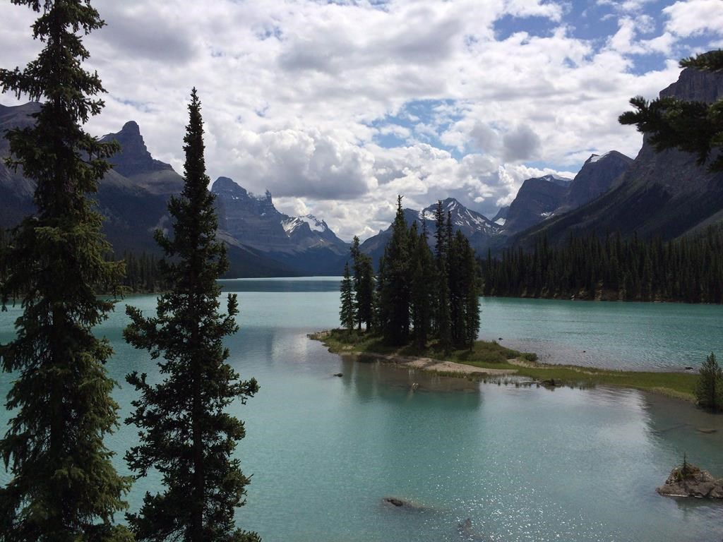 First Nation Wants To Hunt In Jasper National Park | Canada's National ...