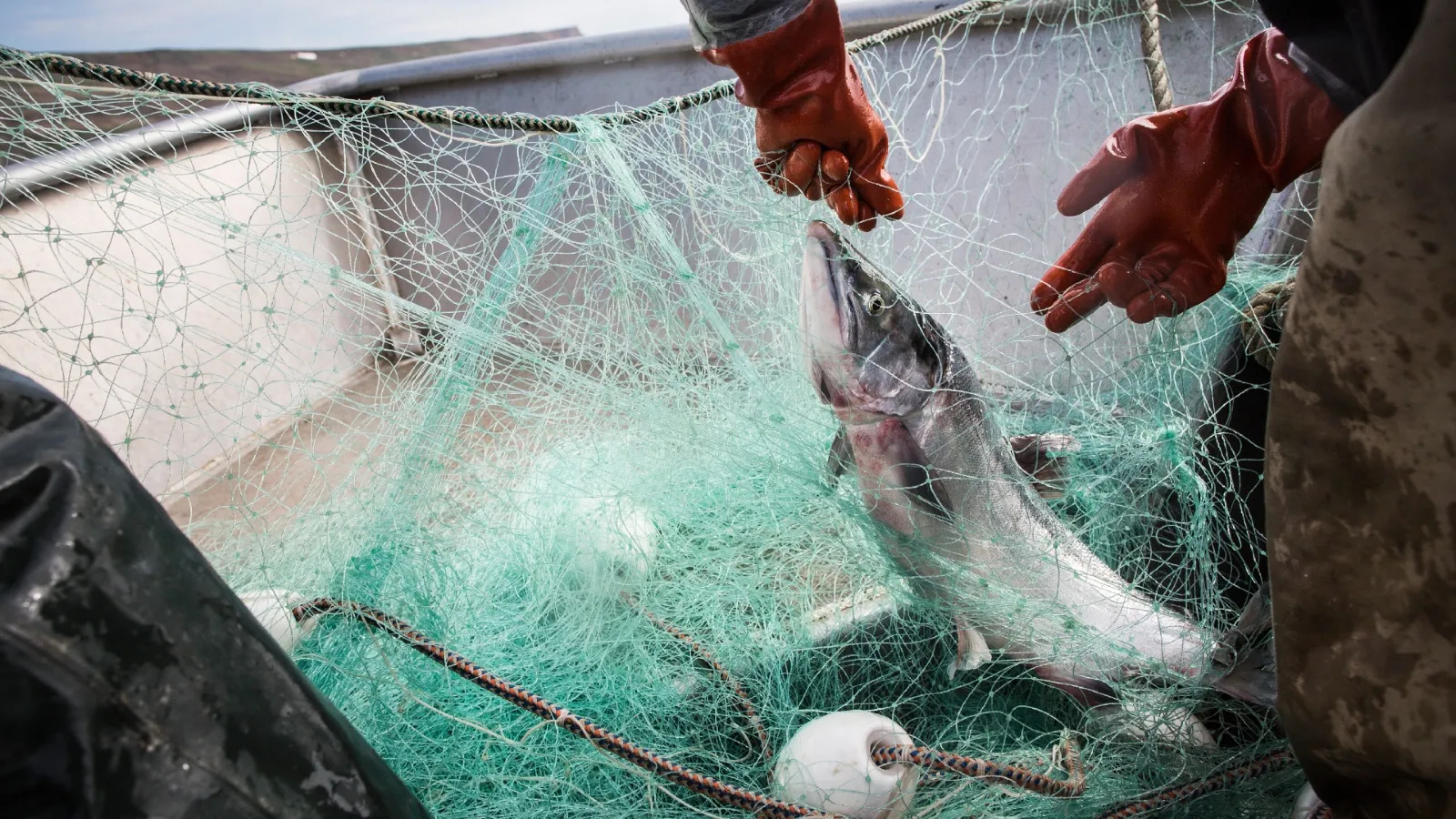 As salmon disappear, the battle over Alaska fishing rights heats up