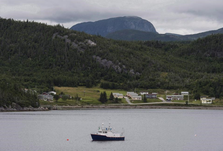 fishing boat, Neddy Harbour, Gros Morne National Park, Newfoundland and Labrador, 