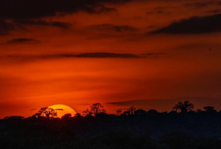 sun set, Tanzania, Tarangire National Park,