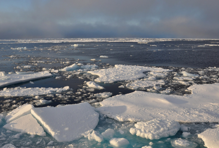 Arctic Ocean ice,