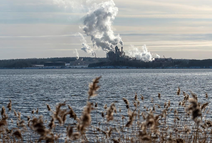 Northern Pulp mill, Abercrombie Point, 