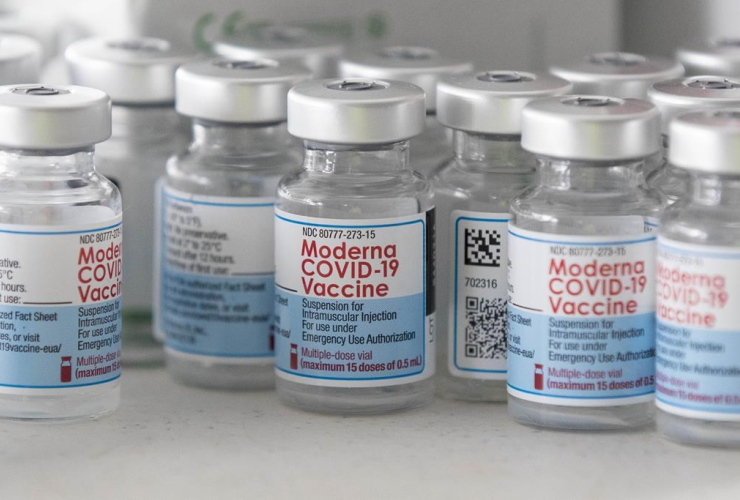 Moderna vaccine,