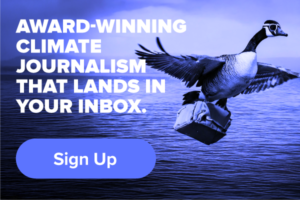 Sign up for our newsletter